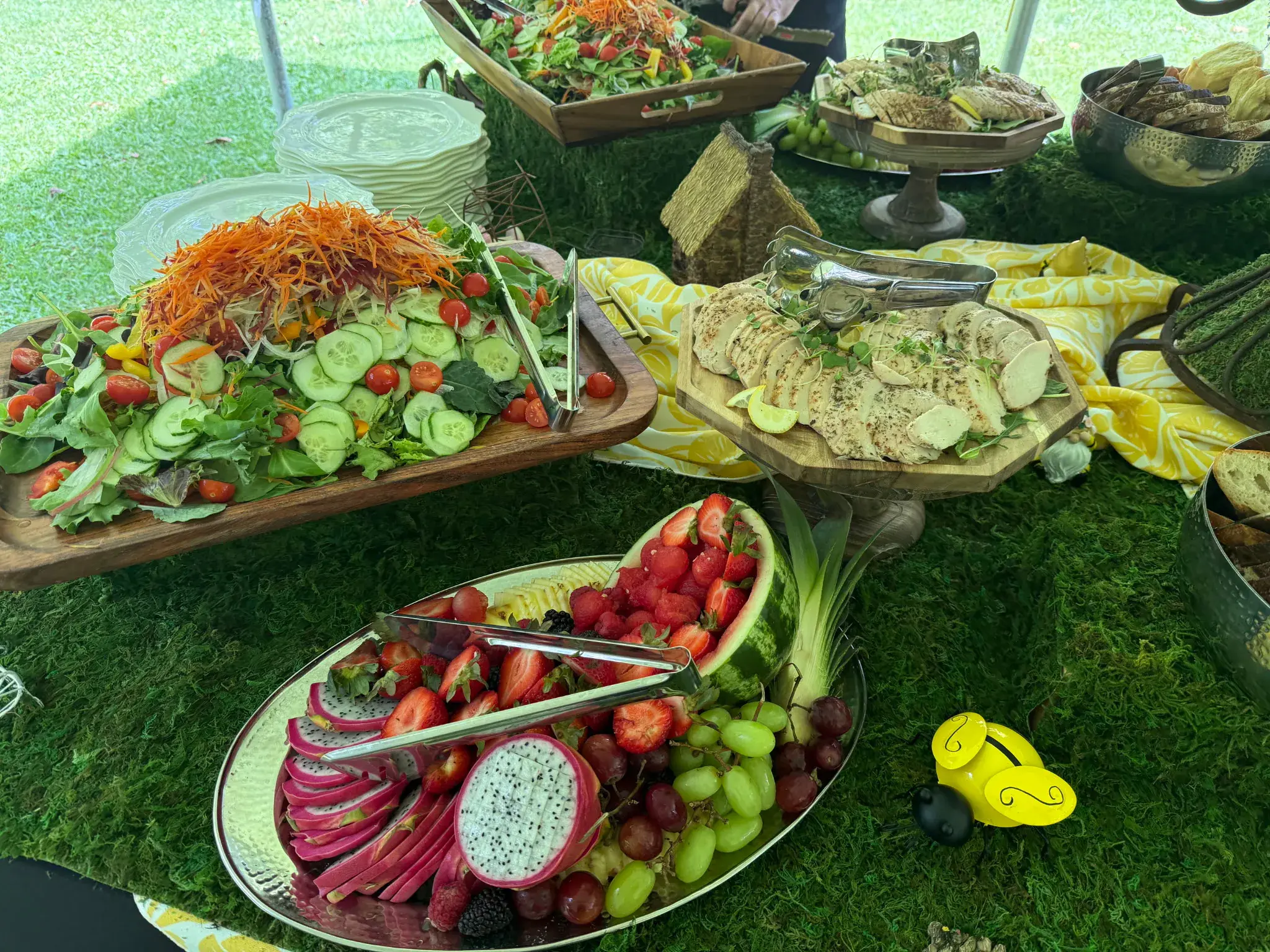 Seasonal salad, sliced chicken, and fresh fruit arranged for a garden buffet by Dragonfly Catering